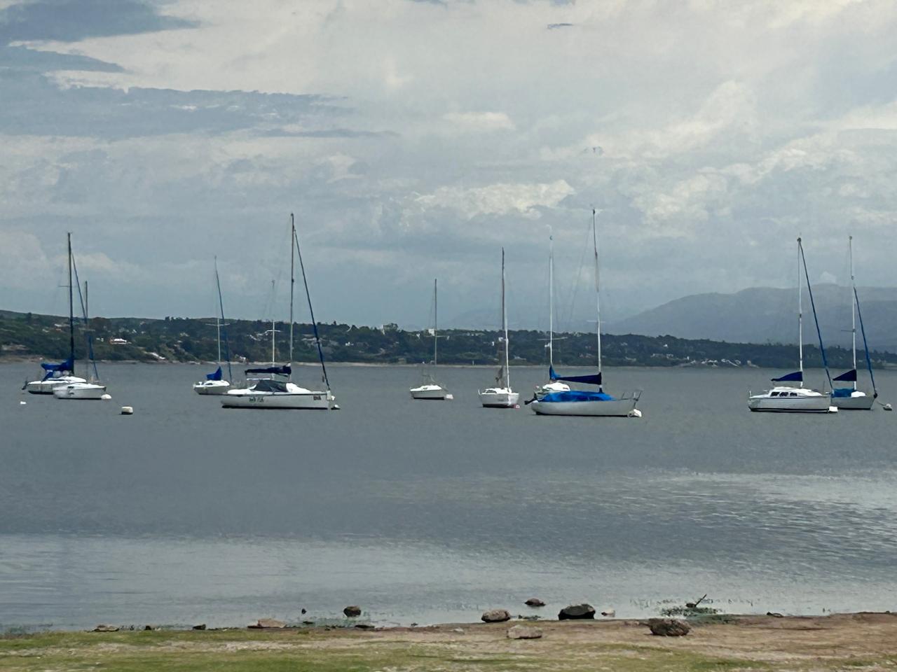Numerosos veleros en esta zona del embalse